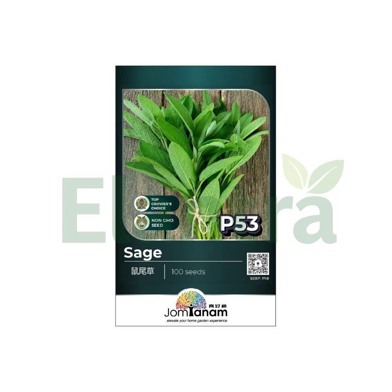 P53 SAGE